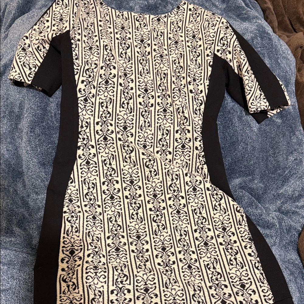 Walter Baker Black and Cream Long Sleeve Dress